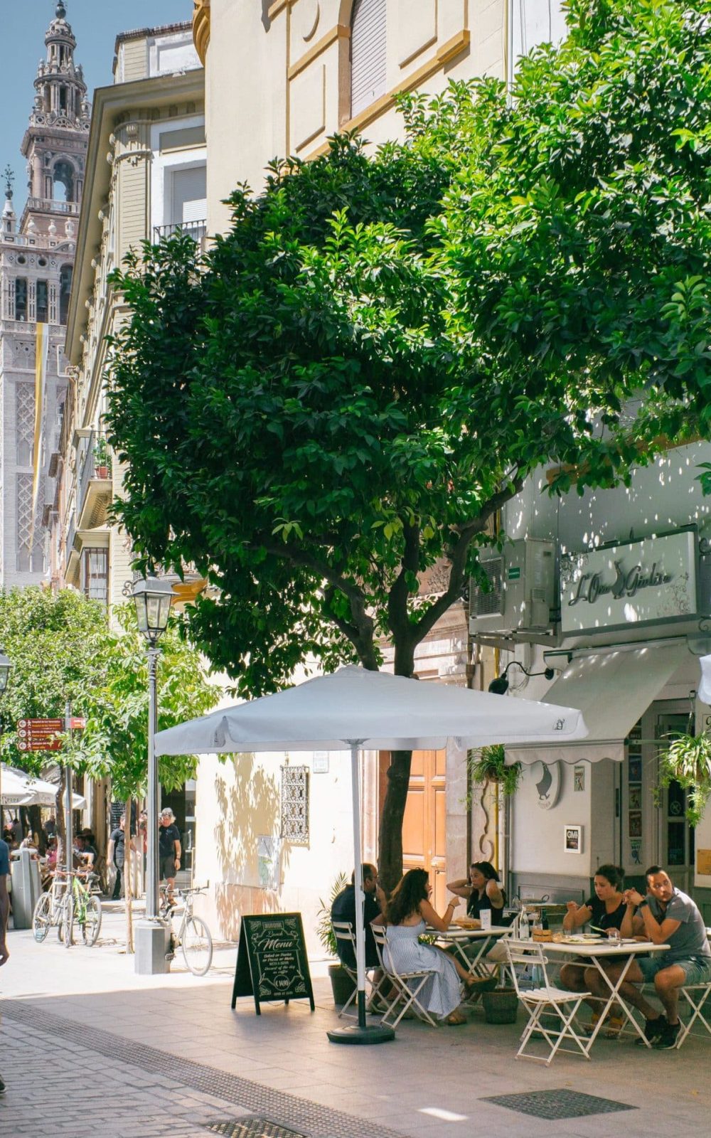 restaurant pasta restaurante de pastas restaurant de pastas restaurante de pasta restaurantes pasta