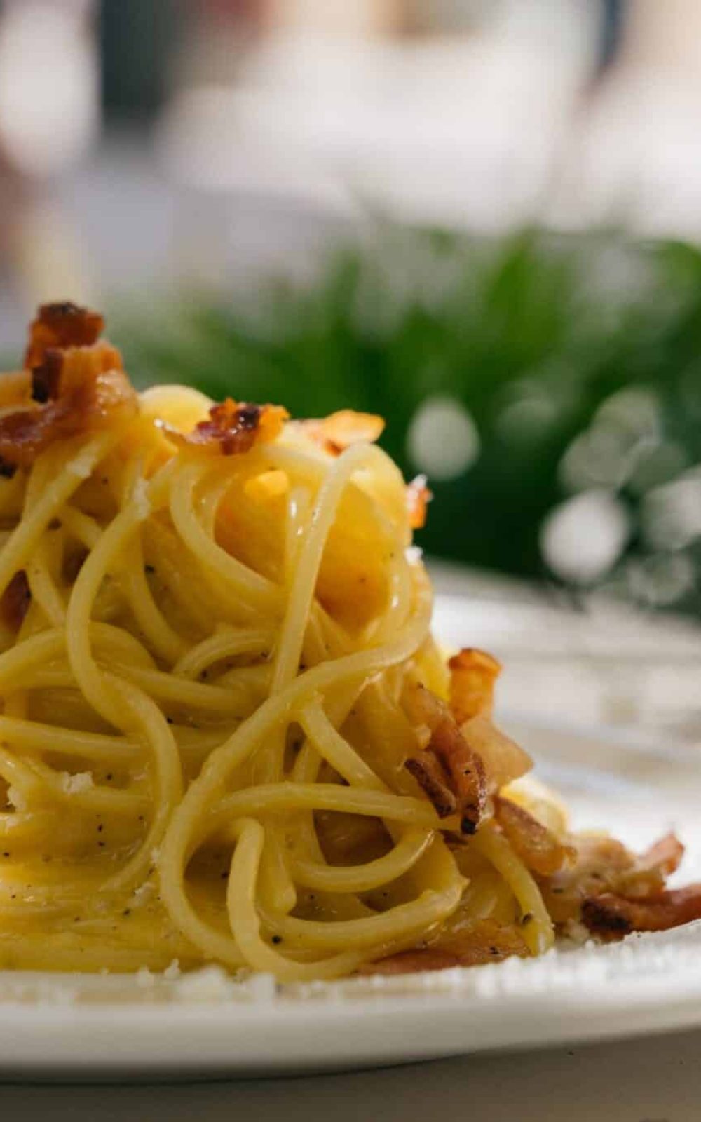 pasta restaurant restaurante pasta restaurant pasta restaurante de pastas restaurant de pastas