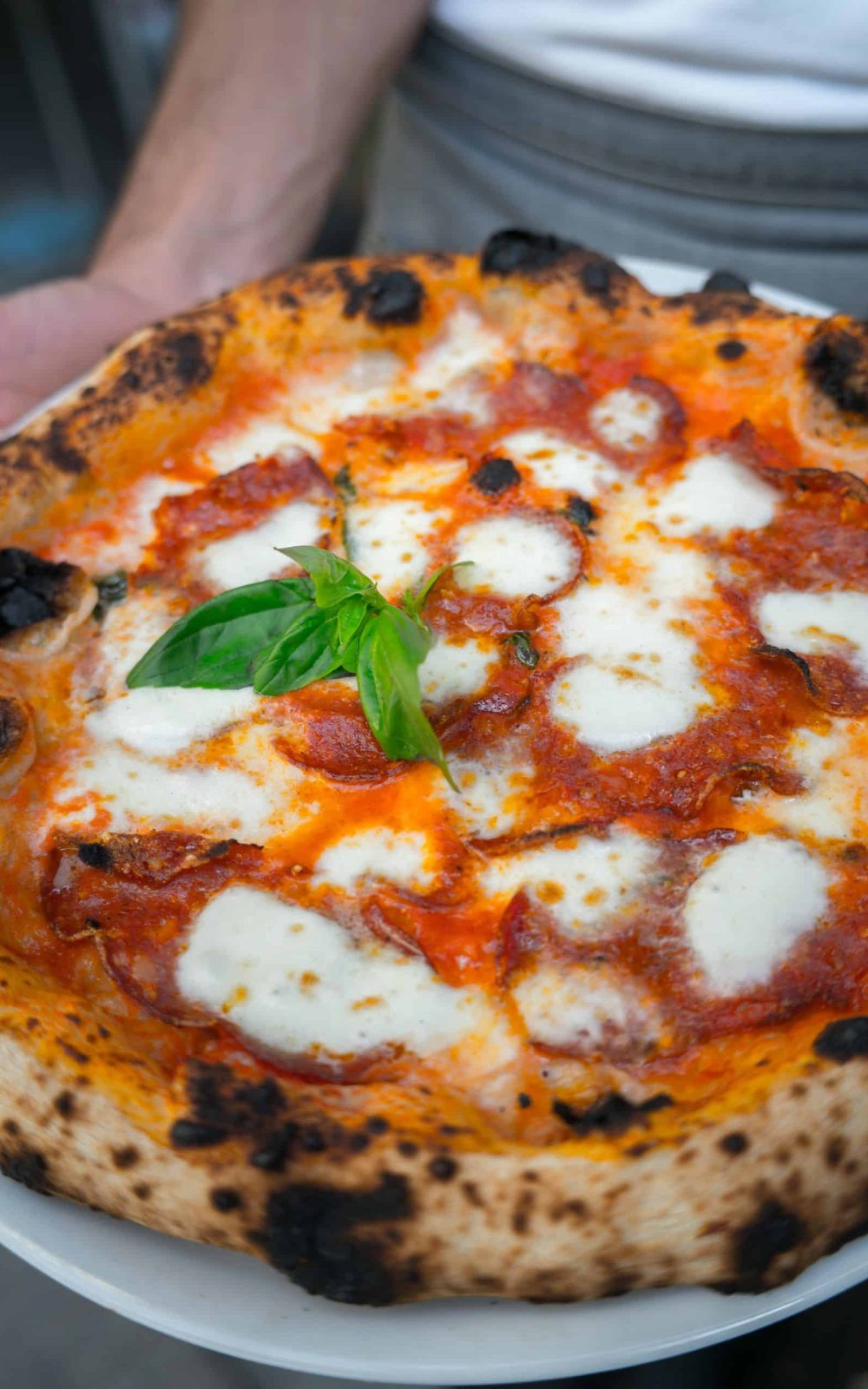 restaurante pizza y pasta restaurantes sevilla centro restaurante sevilla centro restaurantes centro sevilla restaurantes en el centro de sevilla restaurantes en sevilla centro